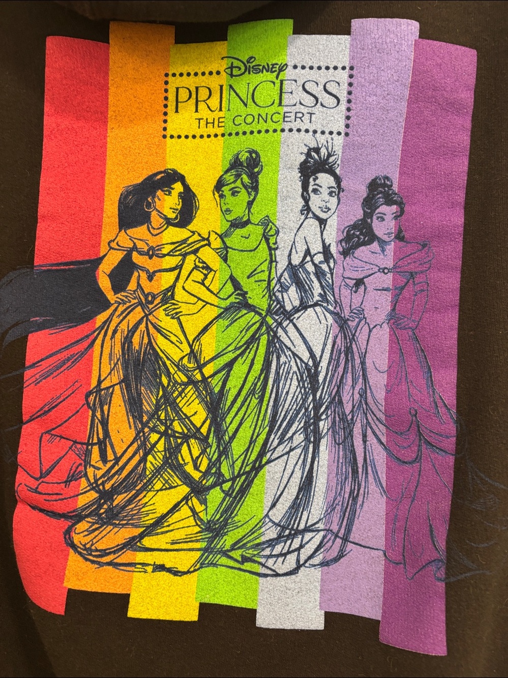 Disney Princess The Concert Hoodie